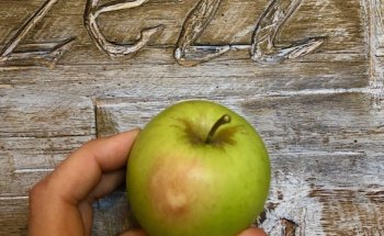 Vita-Gesund , Ernährungstherapie