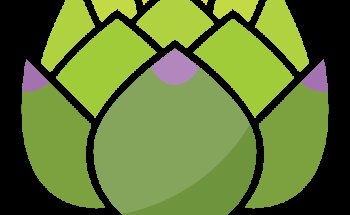 Margaux MOULIN • Diététicienne nutritionniste