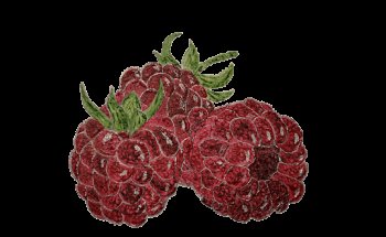 Diététicienne Solène POPULUS Avignon et Cavaillon