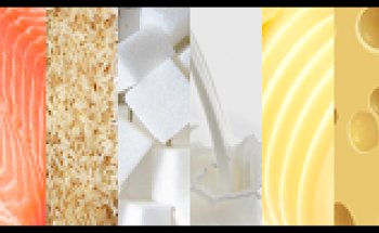 Justine Thielley Diététicienne - Just'diet