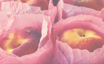 Alix Le Calvez diététicienne nutritionniste - accompagnement TCA, végétarisme, FODMAPs