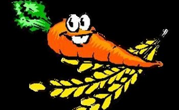 Ernährungsberatung Karen Alberti