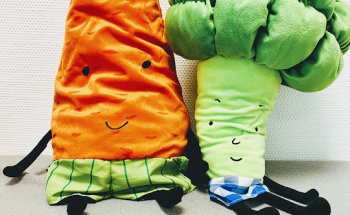 Ernährungsberatung Stephanie Mißler & Team