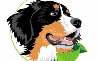 EKIMA Ernährungsberatung für Hund und Katze