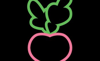 ALL ABOUT FOOD - Voedingsadvies & Coaching