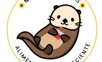 Nutricionista Calama Damary Lagos