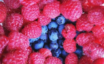 Stefi Fens Nutrition and Wellbeing