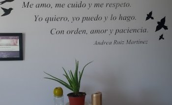 Nutrición clínica y consciencia integral - Andrea Ruiz Mtz