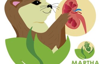 Martha Rodríguez Alba Nutrióloga