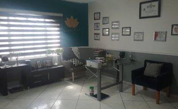 Nutriologa Laura Real - Nutrición Integral