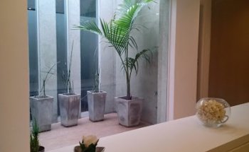 Mercedes A. Castañares Licenciada en Nutrición