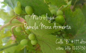 Atención Nutricional