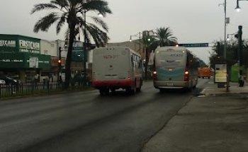 María Eugenia García