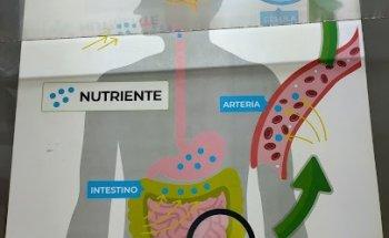 VIOZON TECNOLOGÍA NUTRICIONAL