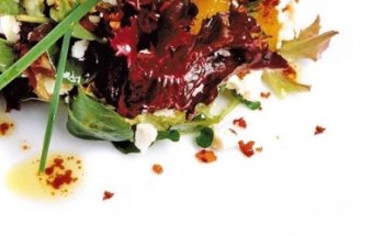 Mtra. Karla Navarrete Murcia, Nutriólogo clínico