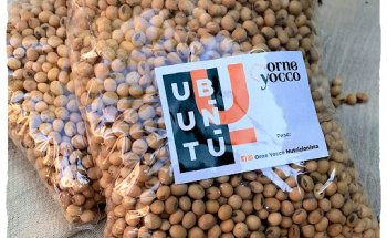 Lic. Nutrición Ornela Yocco