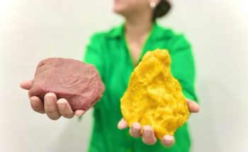 Nutrióloga Anapaula Rios