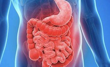 Sarahi Hernández nutrióloga deportiva y en enfermedades gástricas.