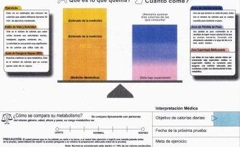 Nutriologa Clínica en Zapopan y Guadalajara. Lic. Norma Ortíz