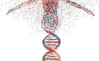 Nutrióloga Cecilia Martínez González