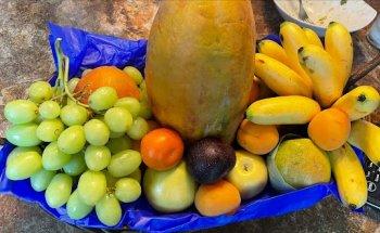 Nutrición Y Bienestar Azcapotzalco, Nutrióloga Guadalupe Chávez.