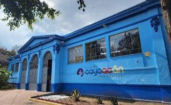 Nutrióloga Tere Cárdenas | Especialista en Diabetes