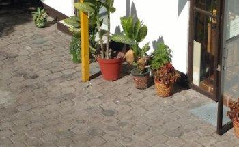 Clinica D' Nutricion