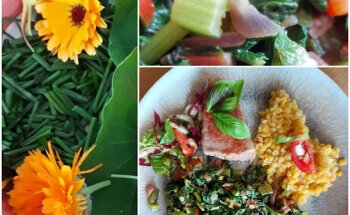 Beate Srocka - Ernährungsberatung