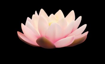 Lic. Ana Carolina Sbarbi Osuna