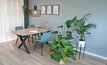 Elisa Ruiter voedingsadvies & begeleiding