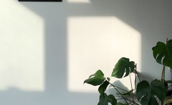 Bitesize Voedingscoach