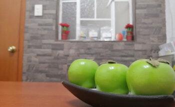 Nutrióloga Clínica Liliana Ortiz (Metztli 