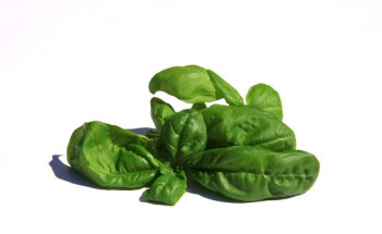 Focus Voeding Diëtistenpraktijk