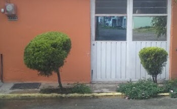 Nutriologa Blanca Magaña