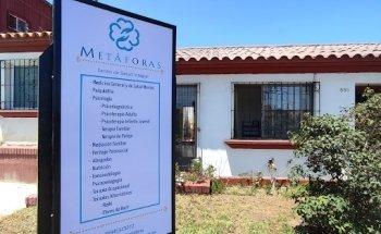 Luis Pizarro Gallardo - Nutricionista - Metáforas