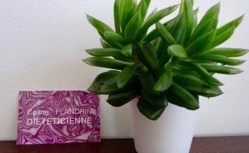 Coline Flandrin Diététicienne Lille