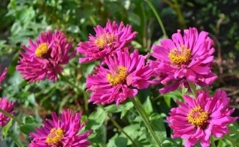 Ernährungsberatung Linz