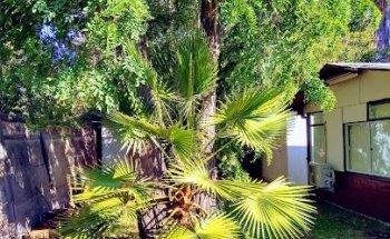 Instituto de Nutrición y Tecnología de los Alimentos de la Universidad de Chile