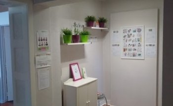 NUTRIFAZ - Anne Durocher, Diététicienne Nutritionniste Metz