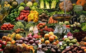 CHARLOTTE BARBEZ | Diététicienne nutritionniste à Montpellier