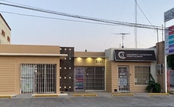 Nutriologa Momentum Nutrición Nuevo Laredo