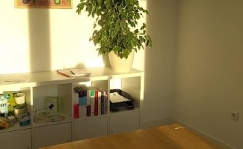 Gesund isst einfach. Ernährungstherapie