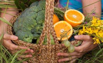 Nut. Josefina Lezaeta Dibarrart, Nutricionista