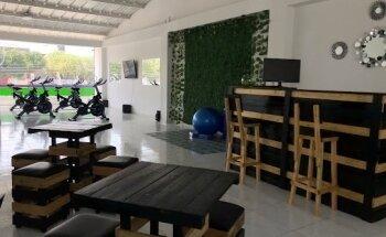 Etapas Club De Nutrición Activa