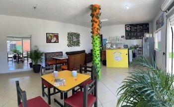 Coffee concept salud y vida