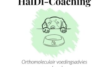 HalDi-Coaching