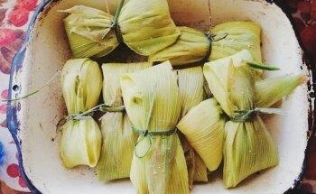 Nutricionista Viña del Mar - Ayleen Bertini