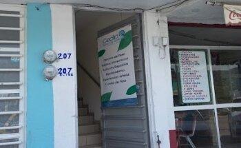 Nutriologa Cecilia Sánchez Gallardo