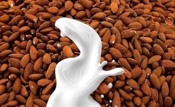 Estilo de Vida Salud y Nutrición Alimentaria