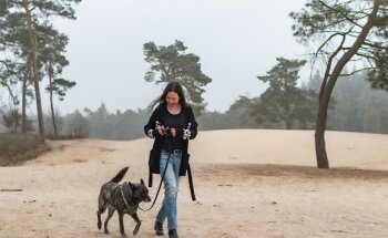 Hond en Kat in Balans